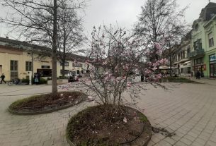 Tavasz Debrecenben